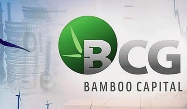 ⚠️ Doanh nghiệp nhóm Bamboo Capital lỗ hơn 1.450 tỷ đồng sau kiểm toán, kiểm toán từ chối đưa ra ý kiến