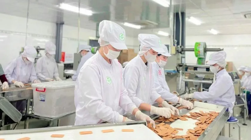 📊 Tổng điều tra kinh tế 2026: Hơn 859.000 doanh nghiệp hoạt động, doanh thu đạt 45,3 triệu tỷ đồng