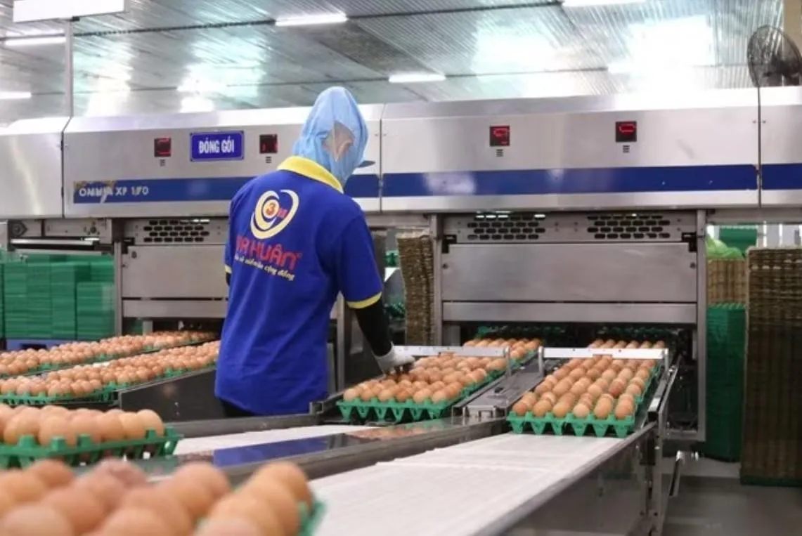 🥚 Ba Huân bị nêu tên vì nợ BHXH gần 9 tỷ đồng, trước đó từng nợ thuế hơn 51 tỷ đồng