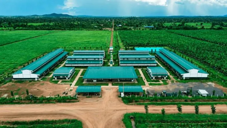 🌱 Công ty nông nghiệp của tỷ phú Trần Bá Dương báo lãi tăng gấp 6 lần, nhưng gánh hơn 68.000 tỷ đồng nợ