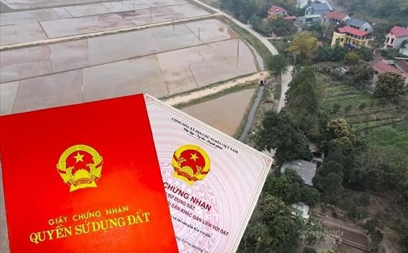 San lấp 132 m2 đất ao vườn xây nhà nhưng chưa có sổ đỏ: Có bắt buộc phải phá dỡ?