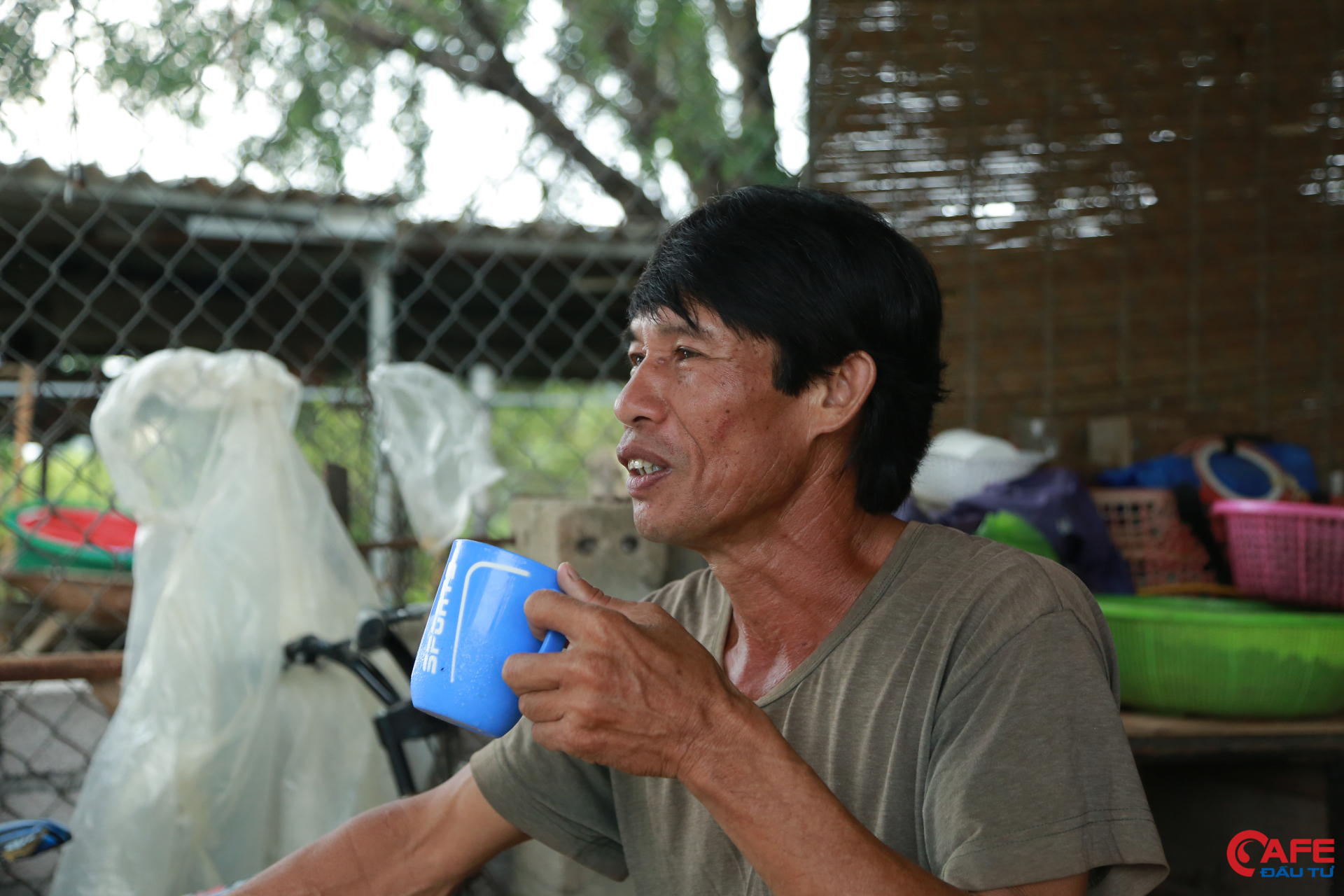Lão nông 60 tuổi làm giàu từ chăn nuôi bò sữa