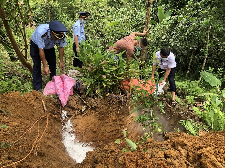 Hà Giang: Tiêu hủy trên 100 tấn lợn nhiễm dịch tả Châu Phi trong 01 tháng