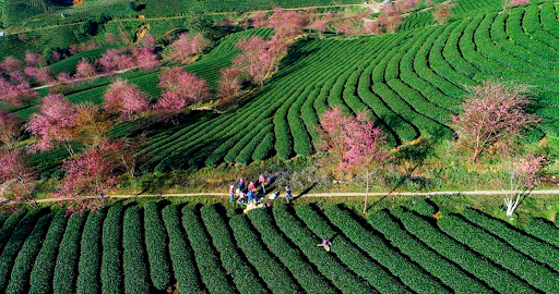 Du lịch chuyển trạng thái thích ứng an toàn, linh hoạt trong bối cảnh bình thường mới