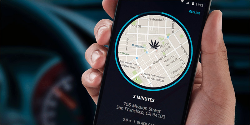 Uber có thể cho phép tài xế vận chuyển cần sa