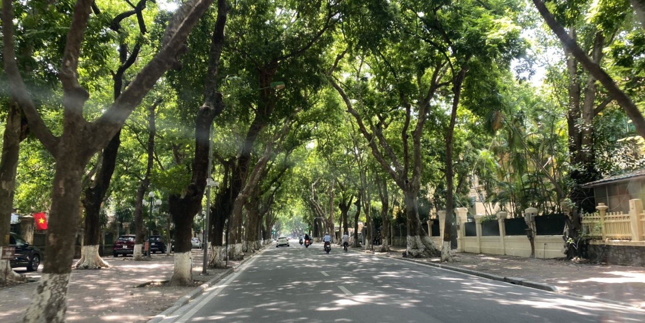 Tuyển tập Thơ tình: Con đường hôm qua anh đi