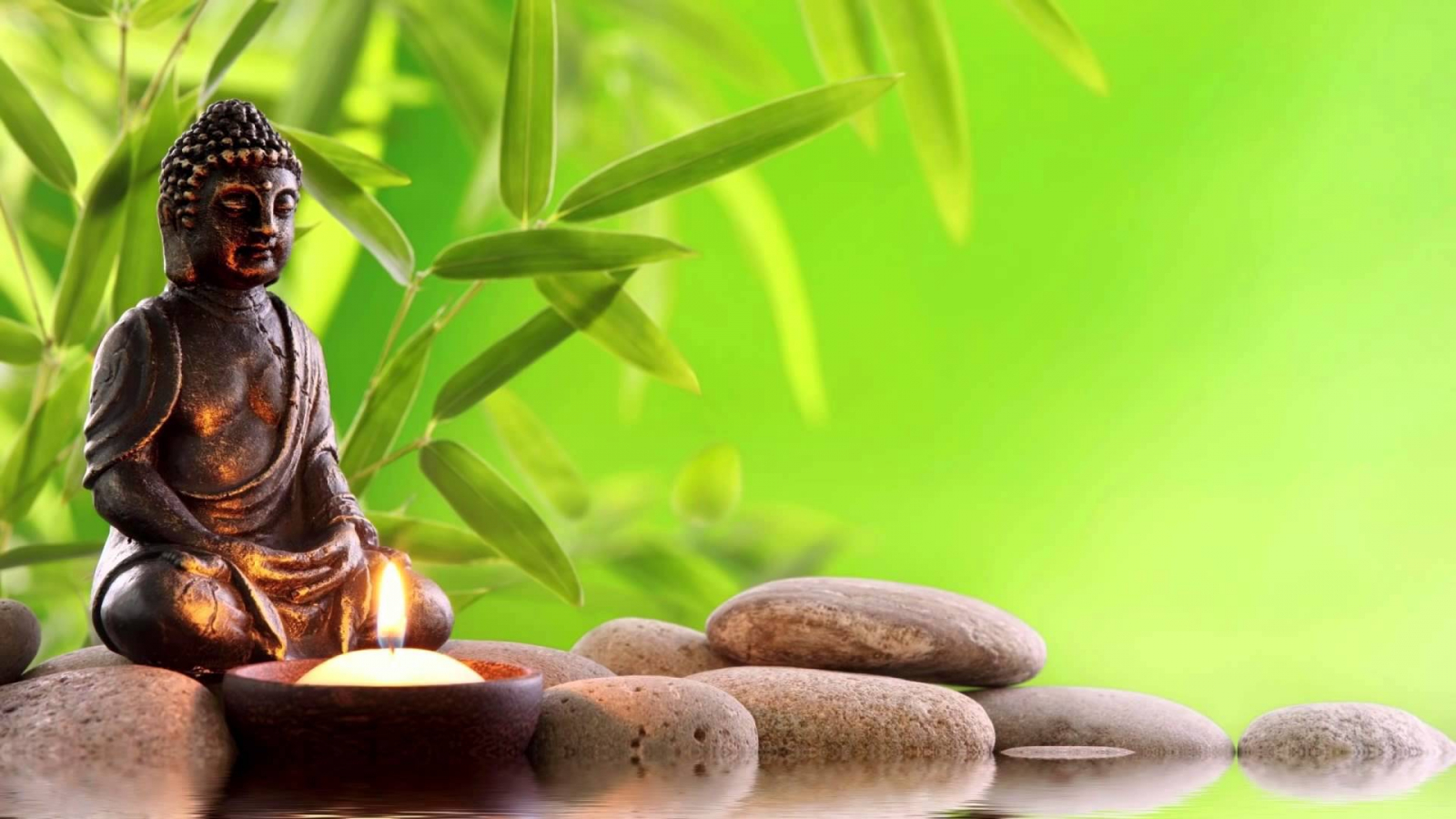 Tuyển tập thơ Nguyễn Văn Long: Tuổi Mãi An Nhiên