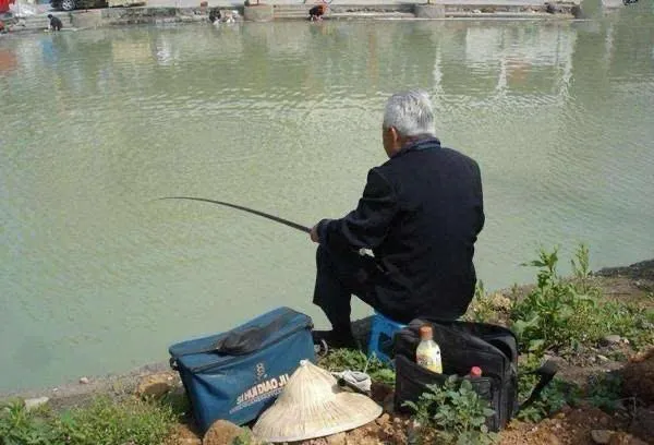 Thơ Nguyễn Văn Long: Ngủ Vùi
