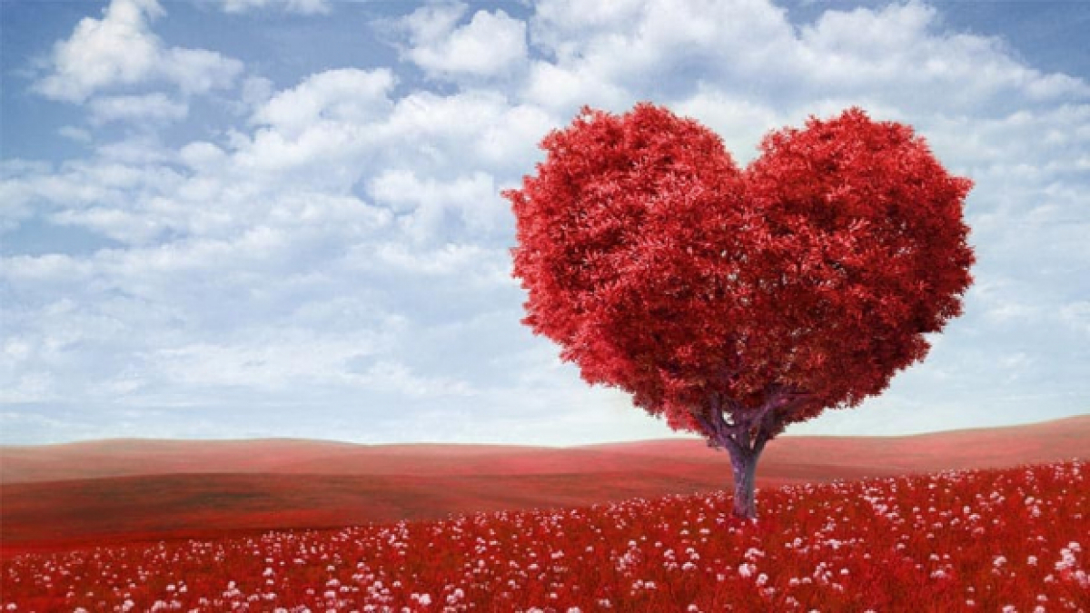 Ngày lễ Tình nhân (Valentine’s Day) là gì? Nguồn gốc và ý nghĩa ngày lễ 