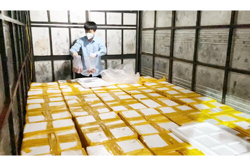 Bắt giữ xe tải vận chuyển gần 1.800 kg cá khoai ướp phoóc môn