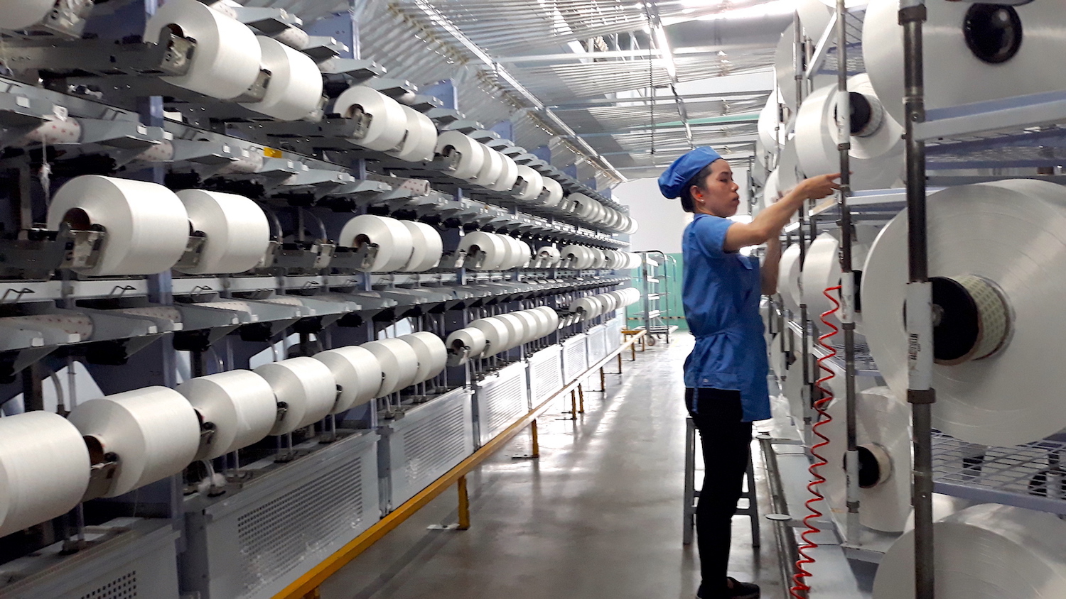 Sợi Thế Kỷ: Dự kiến chia cổ tức 2021 bằng tiền tỷ lệ 15%