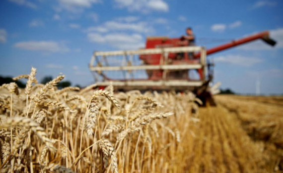 Xung đột Nga - Ukraine gây áp lực lên hệ thống lương thực toàn cầu
