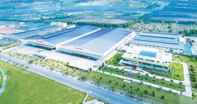 Tại sao Công ty cổ phần Rạng Đông Holding bị xử phạt?