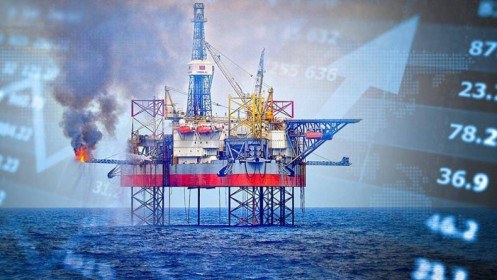 Công ty Cổ phần Đầu tư TDG Global chào bán hơn 50 triệu cổ phiếu