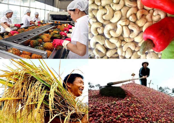 Xuất khẩu nông sản: Đạt kết quả khả quan, nhưng vẫn còn khó khăn