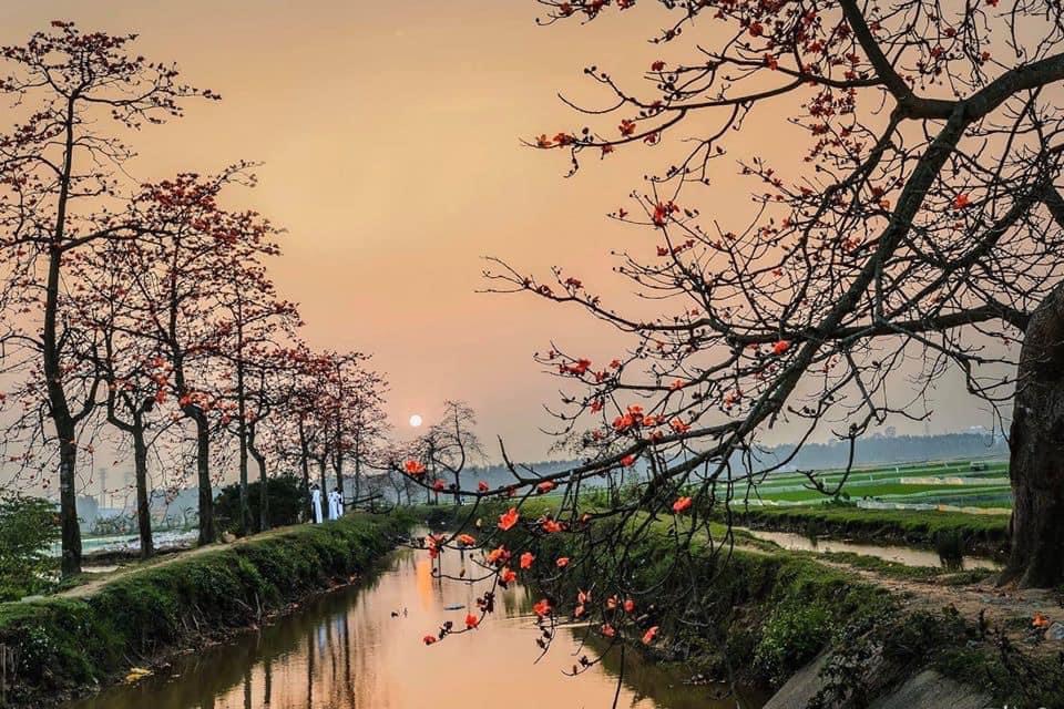 Thơ Nguyễn Văn Long: Sao em chẳng đợi anh