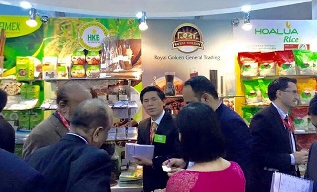 Hakinvest ghi nhận quý thứ 9 liên tiếp thua lỗ