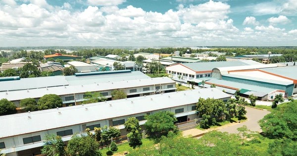 Đầu tư Sài Gòn VRG dự kiến chi 186 tỷ đồng để trả cổ tức