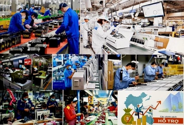 Miễn, giảm, gia hạn gần 46 nghìn tỷ đồng thuế, phí trong 6 tháng đầu năm
