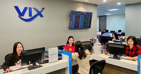 Em dâu Phó Chủ tịch CTCP Chứng khoán VIX bắt đáy chục triệu cổ phiếu VIX