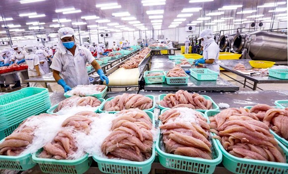 Sai phạm trong công bố thông tin, AGX bị UBCKNN “tuýt còi”