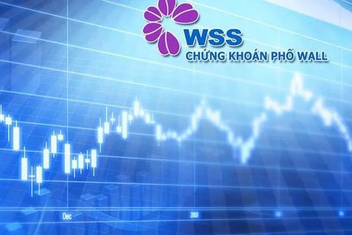 Vi phạm quản lý chứng khoán khách hàng, WSS bị xử phạt gần 180 triệu đồng