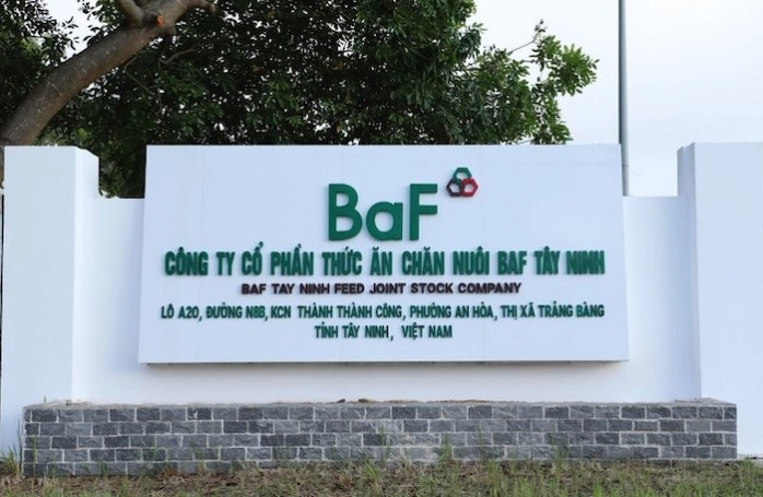 Cổ phiếu được khuyến nghị ngày 4/10: BAF, LHG, MBB