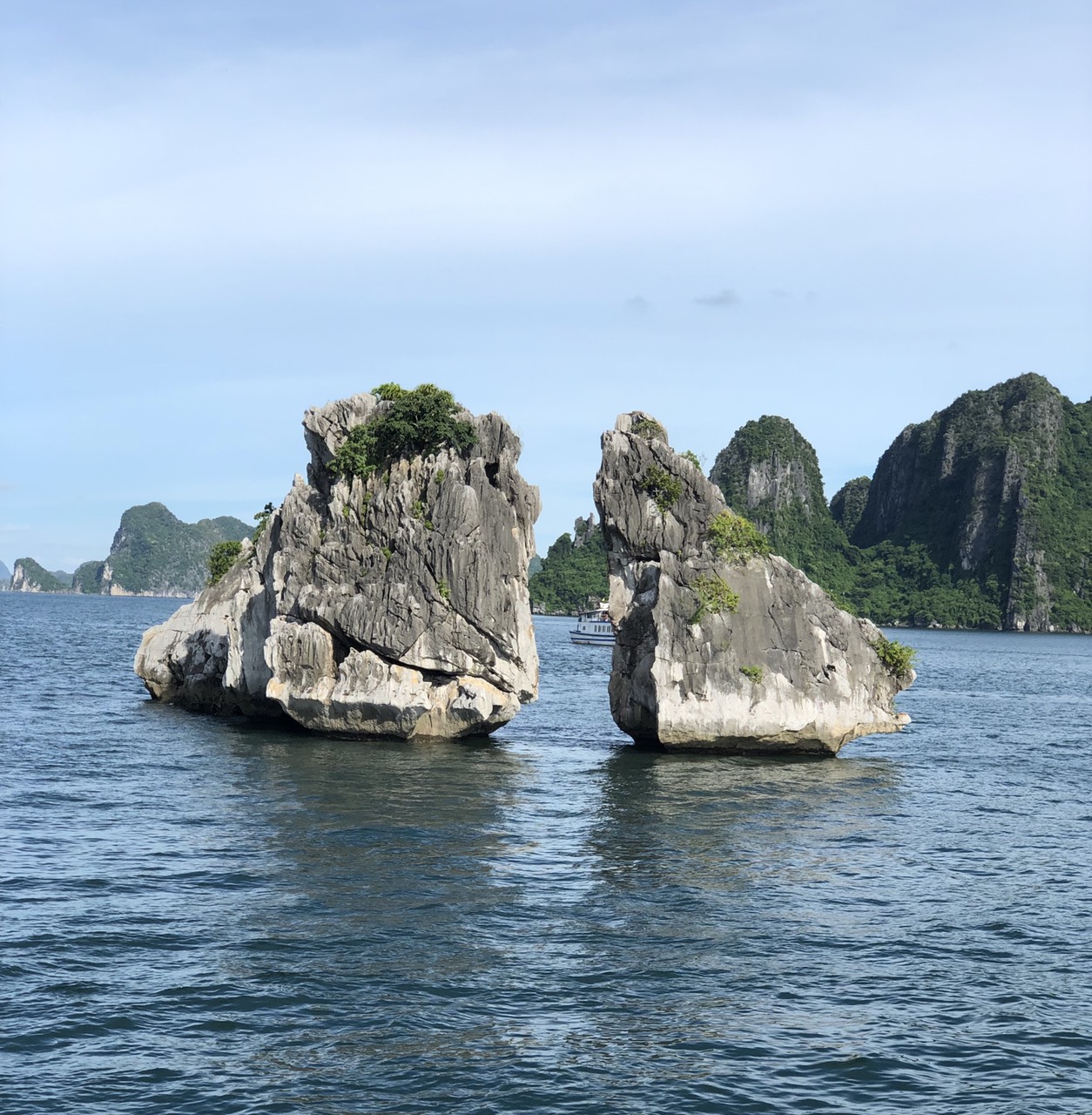 Thơ Nguyễn Văn Long: Đừng Để Anh Trở Về Thiên Nhiên