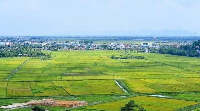 Dự thảo Luật Đất đai sửa đổi: Từ Nghị trường tới thị trường