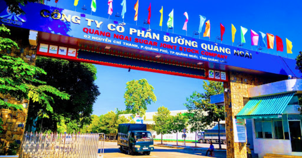 Cổ phiếu được khuyến nghị ngày 10/11: QNS, BMI, TRA