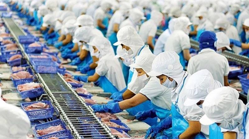 Dragon Capital gia tăng tỷ lệ sở hữu tại VHC