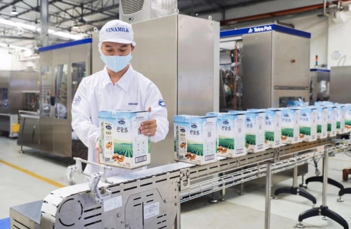 Tạm ứng cổ tức đợt 2/2022, VNM dự kiến chi hàng nghìn tỷ đồng