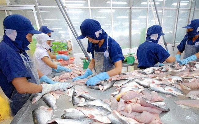 Cổ phiếu được khuyến nghị ngày 16/12: ANV, VNM, EIB