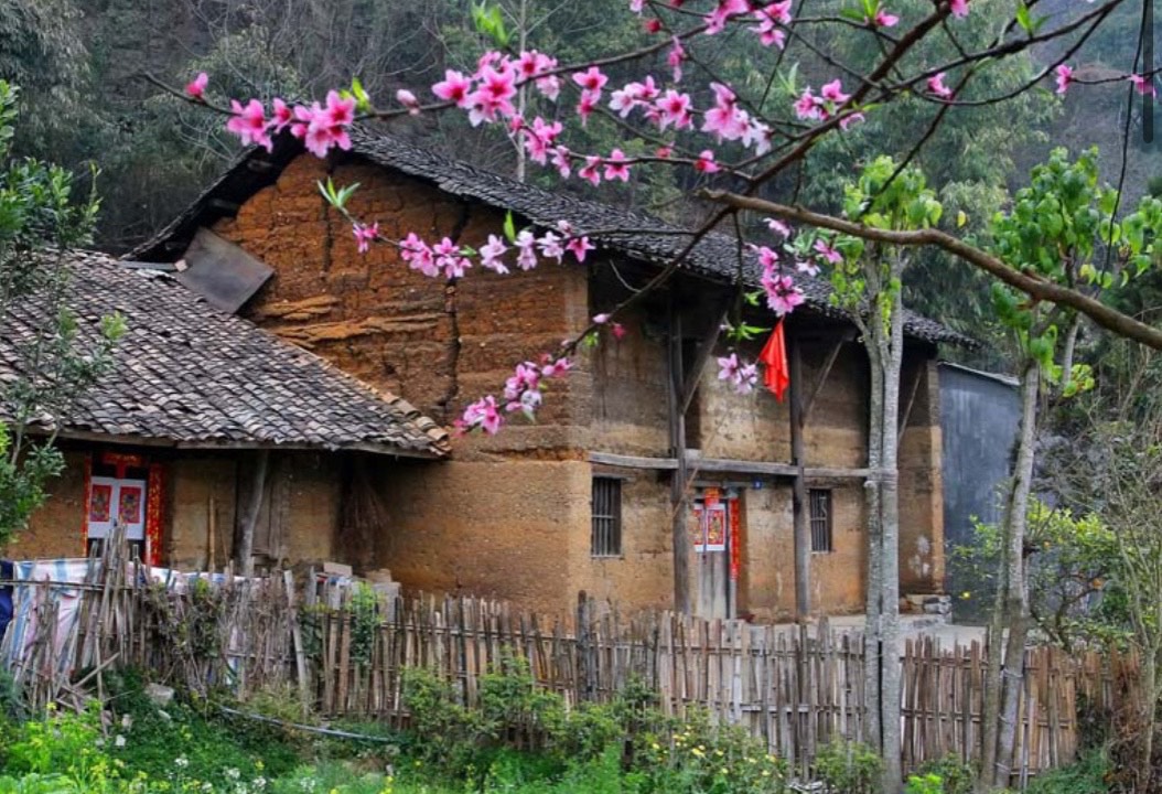 Thơ Nguyễn Văn Long: Chẳng Làm Được Gì Lối Mây Cong 