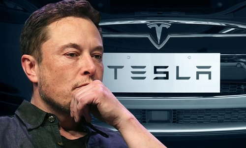 Một năm tàn khốc của Tesla mang lại khoản thu 17 tỷ USD cho phe bán khống