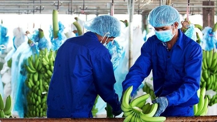 Doanh nghiệp bầu Đức xin hoãn thanh toán gốc và lãi trái phiếu