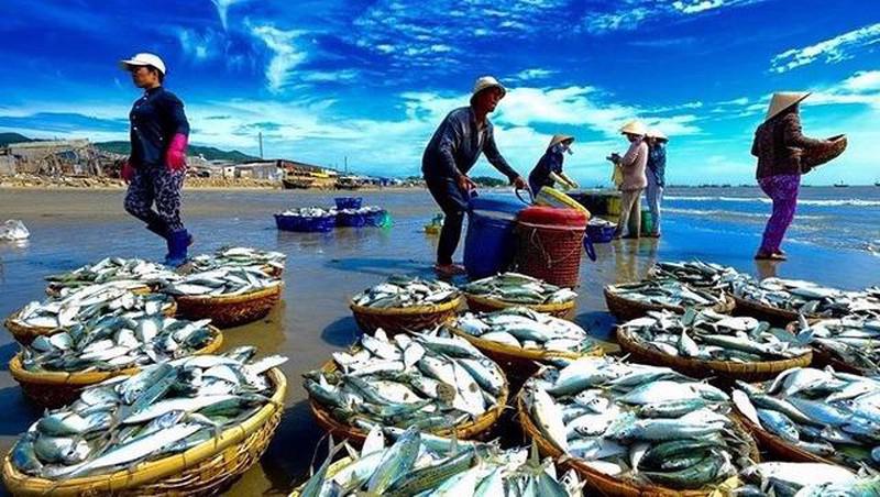 Hai mã cổ phiếu thủy sản được VCBS gọi tên