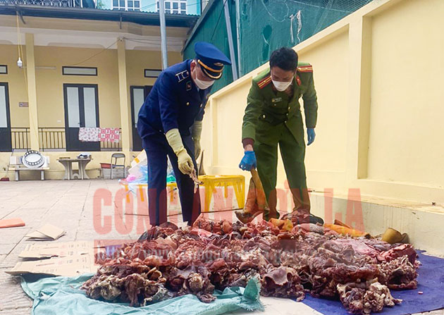 Lái xe chở 400kg nội tạng bốc mùi hôi thối đi tiêu thụ thì bị bắt