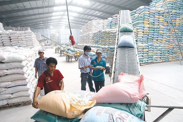 Xuất cấp gạo cho 5 tỉnh dịp Tết Nguyên và giáp hạt năm 2023