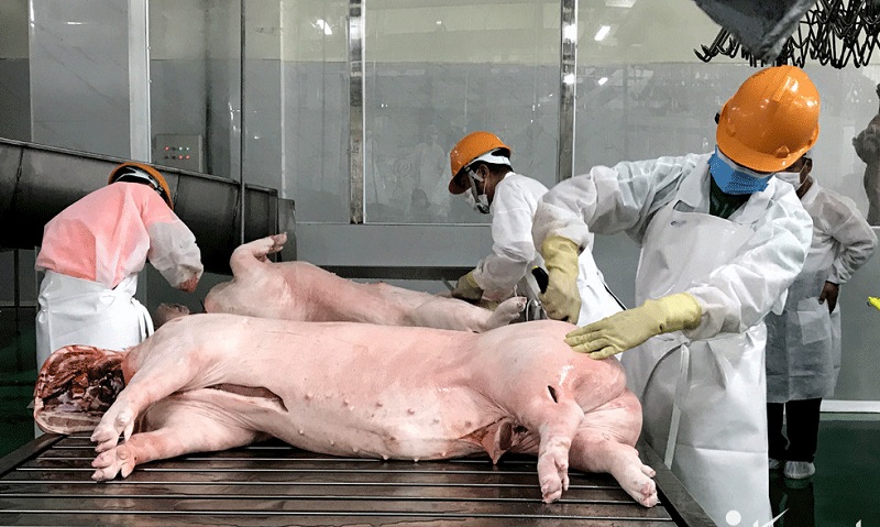Giá gà giảm mạnh, giá lợn vẫn ở 'đáy'