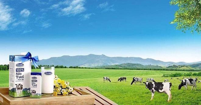 Em trai lãnh đạo cấp cao Vinamilk đăng ký bán cổ phiếu VNM