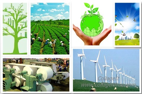 Khuyến khích các doanh nghiệp châu Âu đầu tư vào lĩnh vực tăng trưởng xanh của Việt Nam