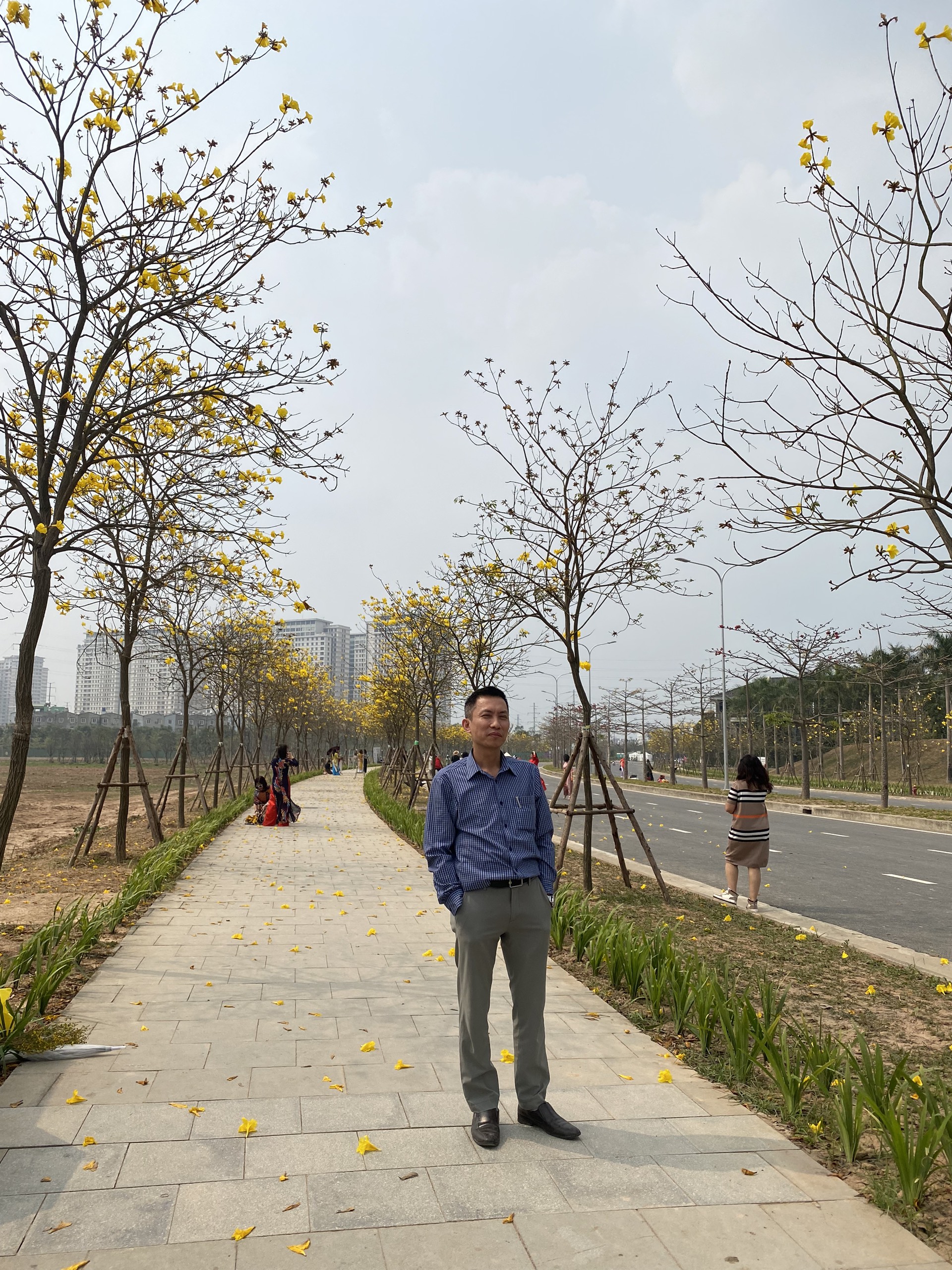 Thơ Nguyễn Văn Long: Nắng Trưa Vàng