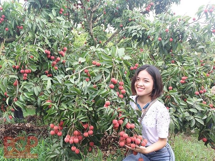 Thơ Nguyễn Văn Long: Canh Xưa