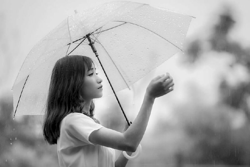 Thơ Nguyễn Văn Long: Gặp Em Ngày Bão Giông