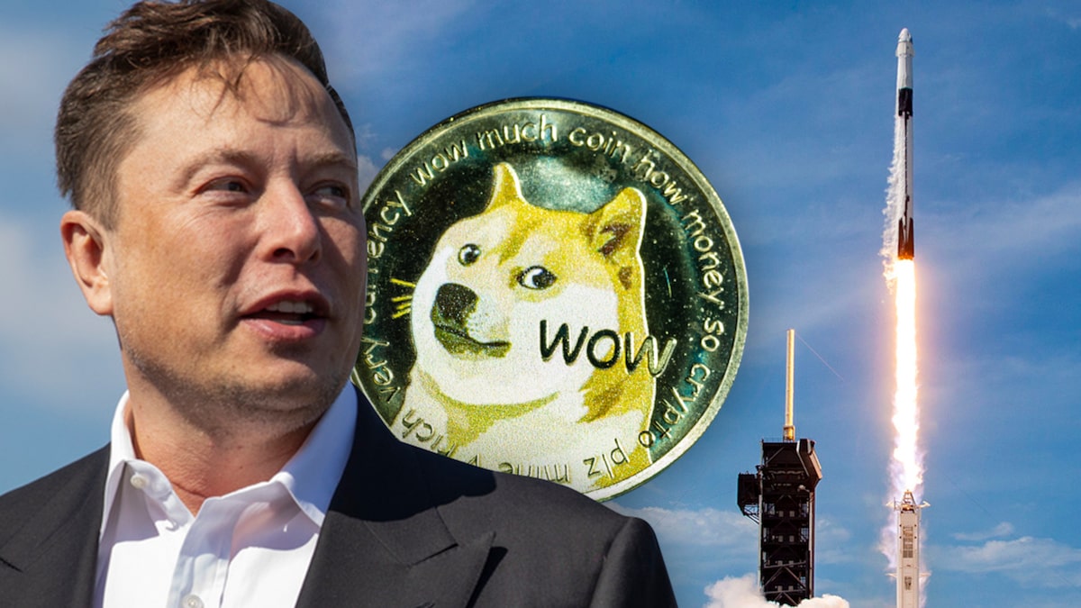 Cha đẻ Dogecoin gọi Elon Musk là 'kẻ chỉ biết quan tâm đến bản thân'