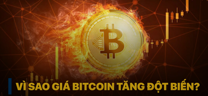 Vì sao Bitcoin tăng đột biến?