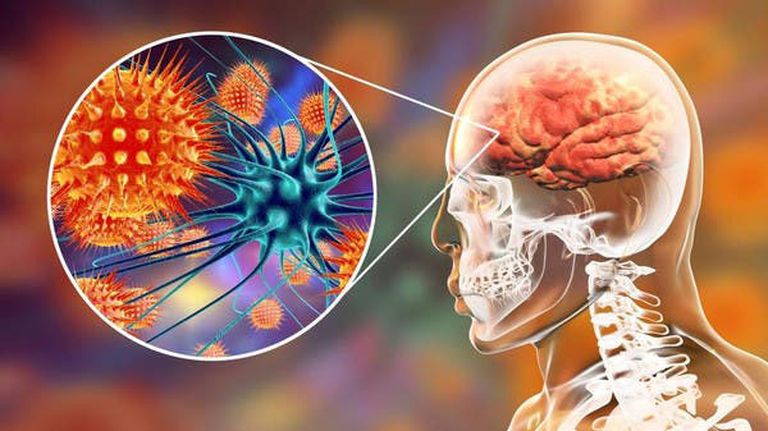 Virus Nipah có thể gây ra đại dịch tiếp theo