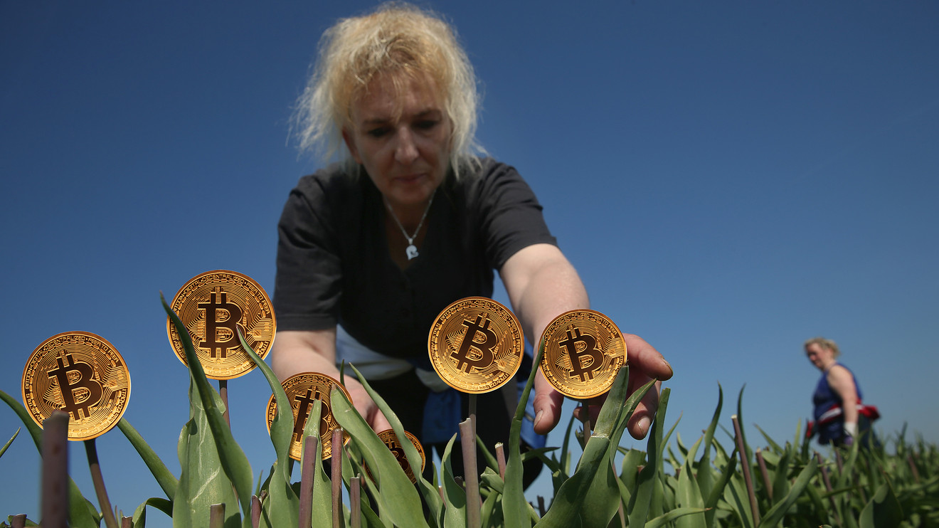 Tương lai Bitcoin là công cụ thanh toán hay chỉ là ‘bong bóng’ hoa tulip?