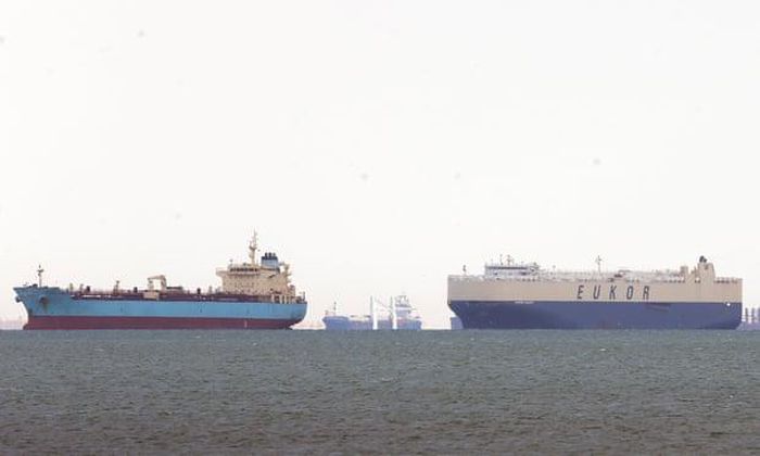 Hàng nghìn con cừu có nguy cơ chết đói vì sự cố ở Kênh đào Suez